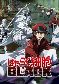 ����ϸ��BLACK