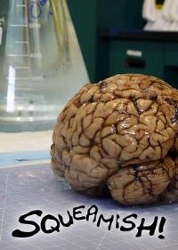 ȫ�������