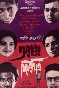 ɭ���е�����ҹ