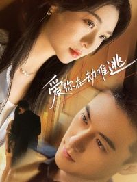 �����ڽ�����