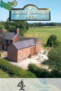 �ҵ��鷳����