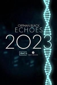 ��ɫ�¶�������