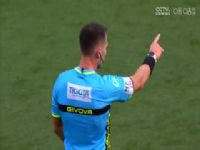 ������� ��������VS������ 20240416